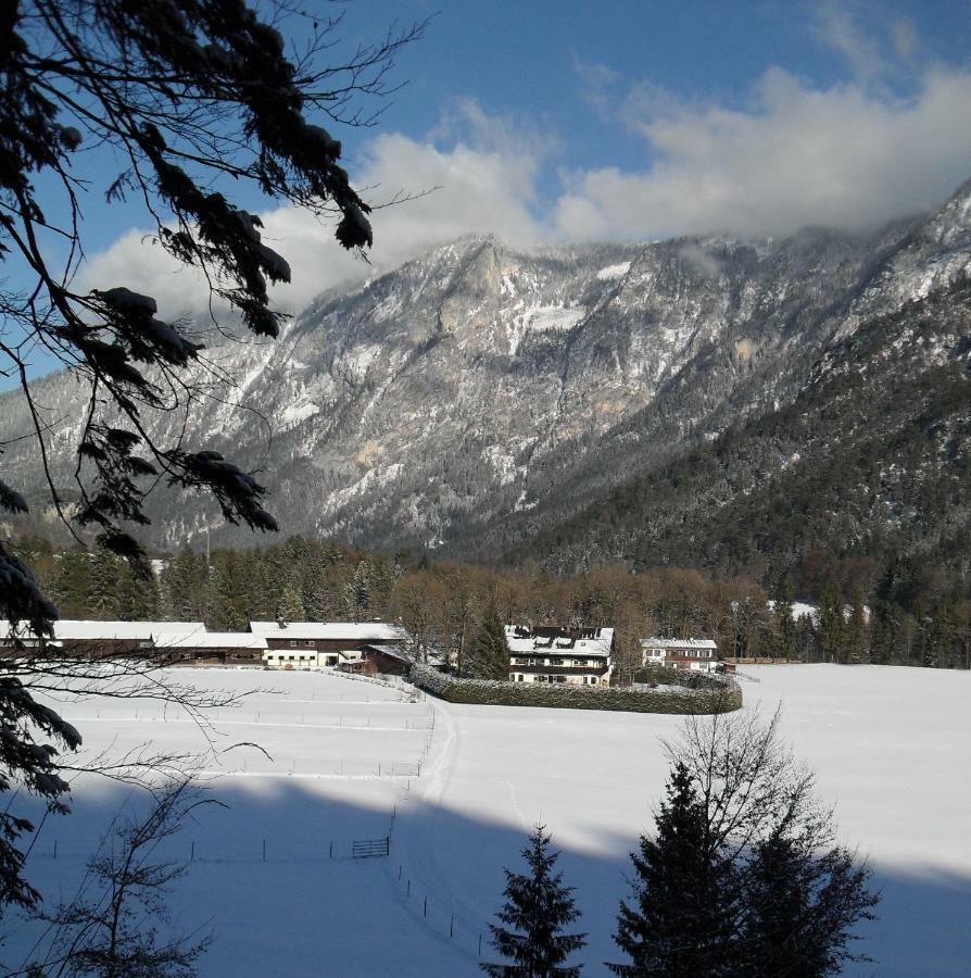 Ferienhaus Gestuet Pfaffenlehen บิชอฟสวีเซิน ภายนอก รูปภาพ