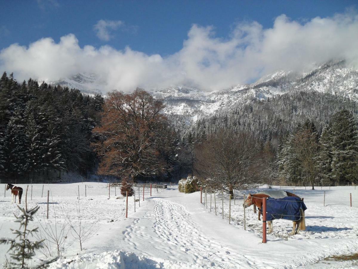 Ferienhaus Gestuet Pfaffenlehen บิชอฟสวีเซิน ภายนอก รูปภาพ