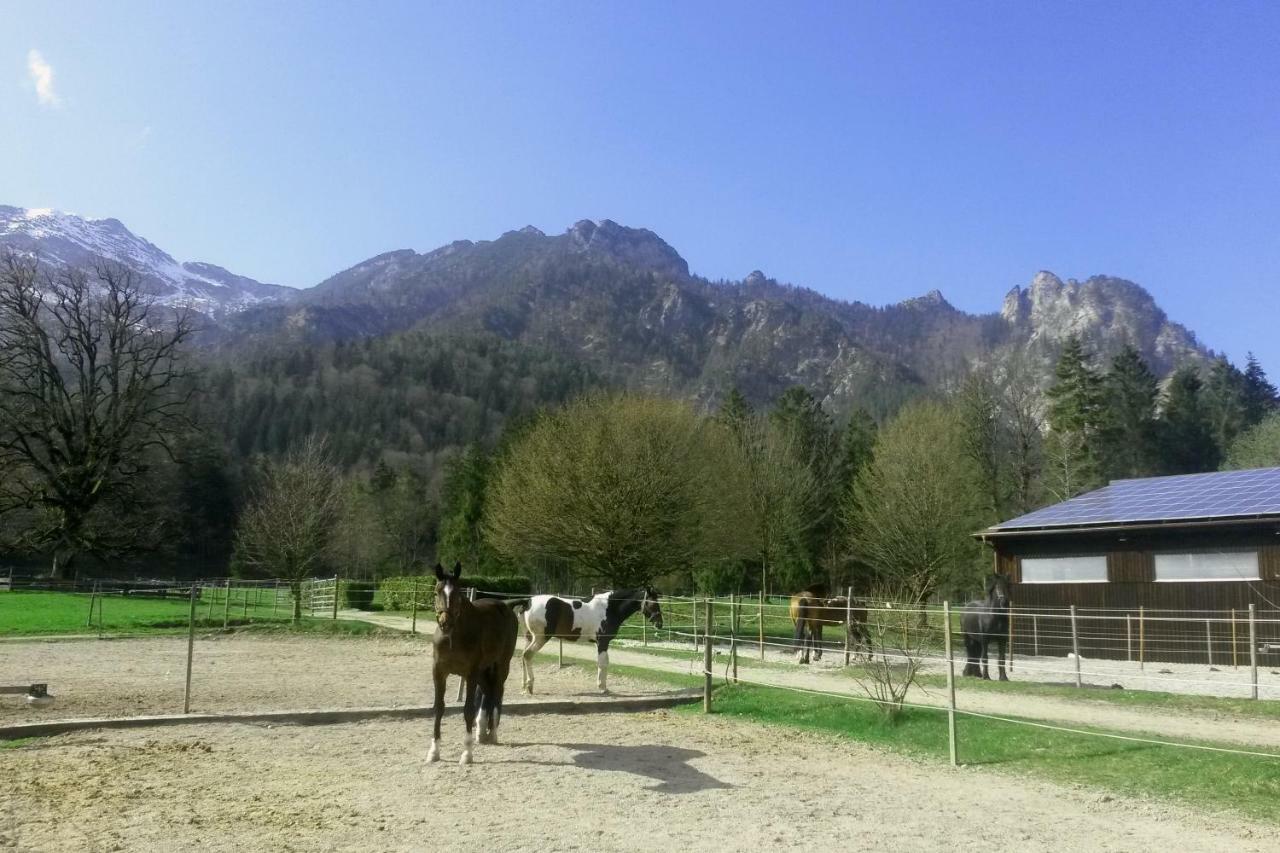 Ferienhaus Gestuet Pfaffenlehen บิชอฟสวีเซิน ภายนอก รูปภาพ