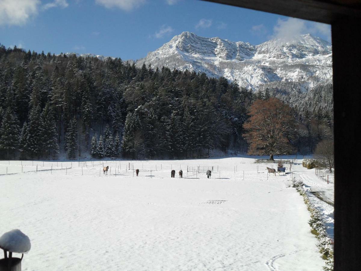 Ferienhaus Gestuet Pfaffenlehen บิชอฟสวีเซิน ภายนอก รูปภาพ