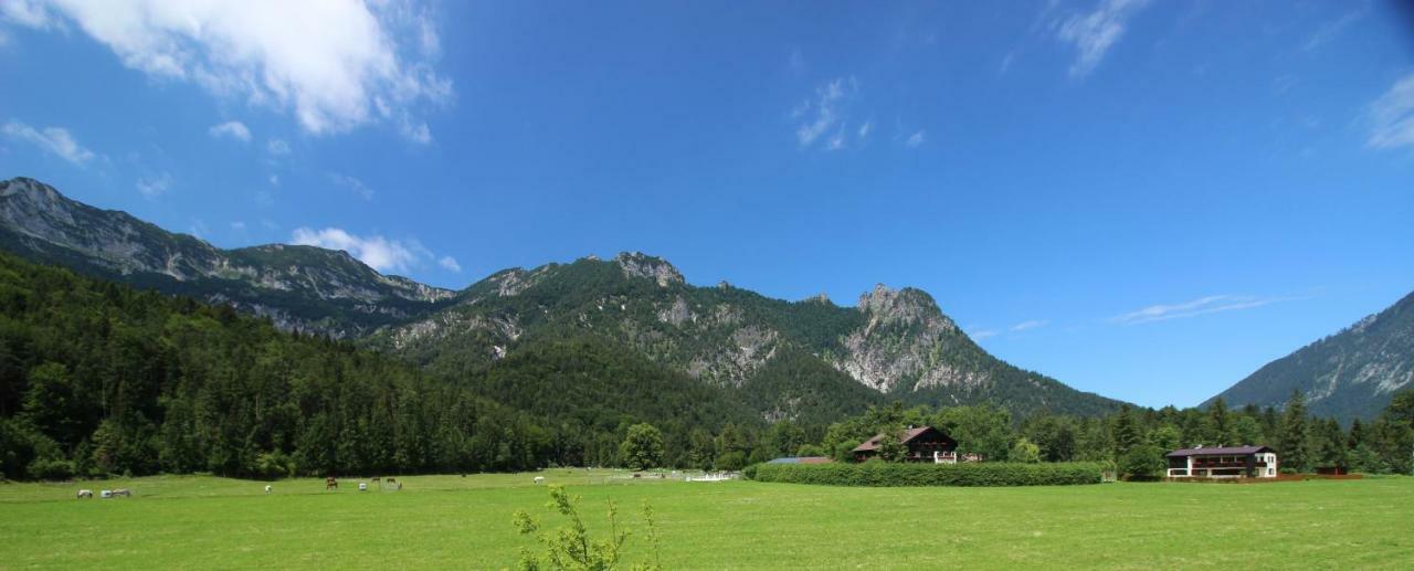 Ferienhaus Gestuet Pfaffenlehen บิชอฟสวีเซิน ภายนอก รูปภาพ