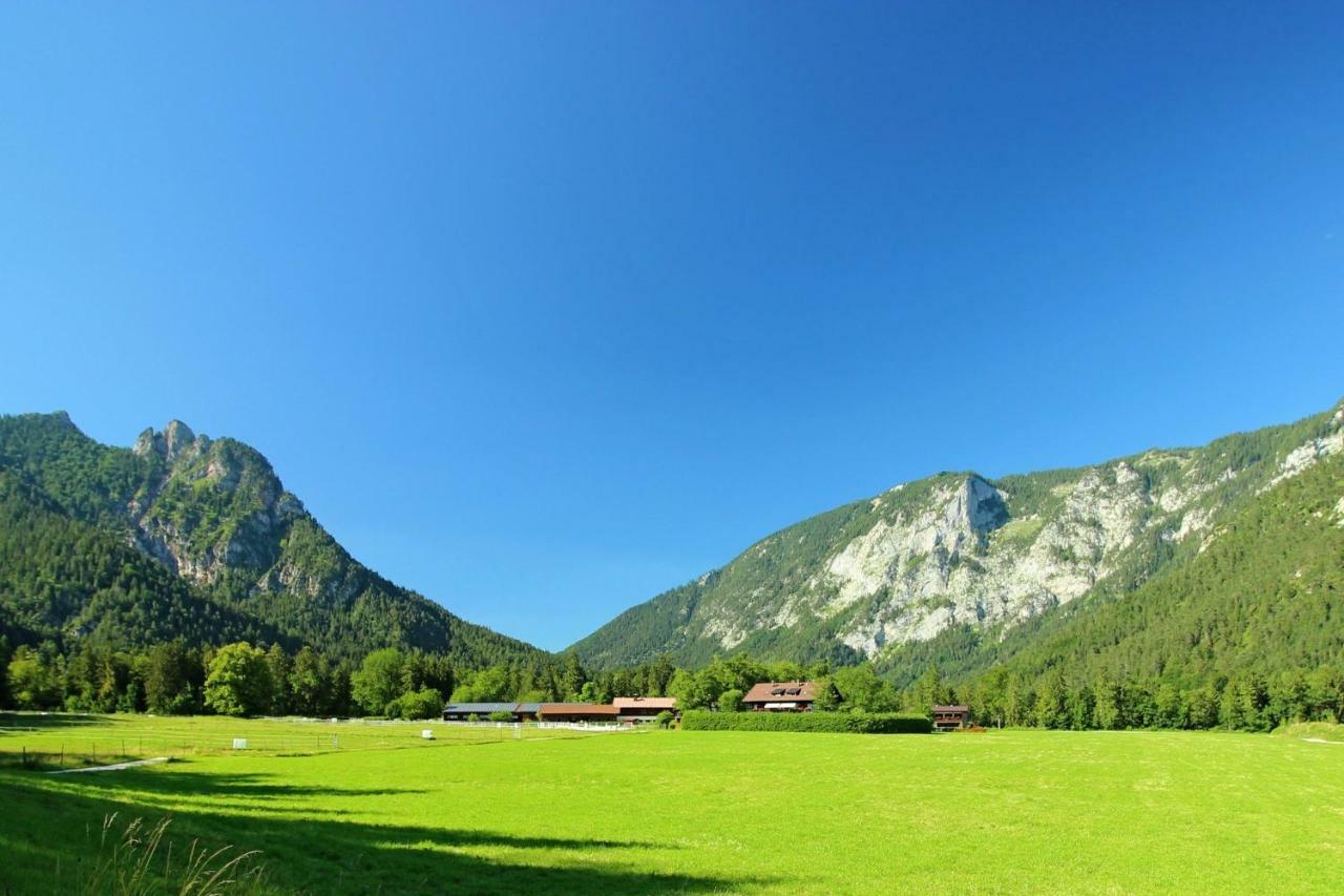 Ferienhaus Gestuet Pfaffenlehen บิชอฟสวีเซิน ภายนอก รูปภาพ