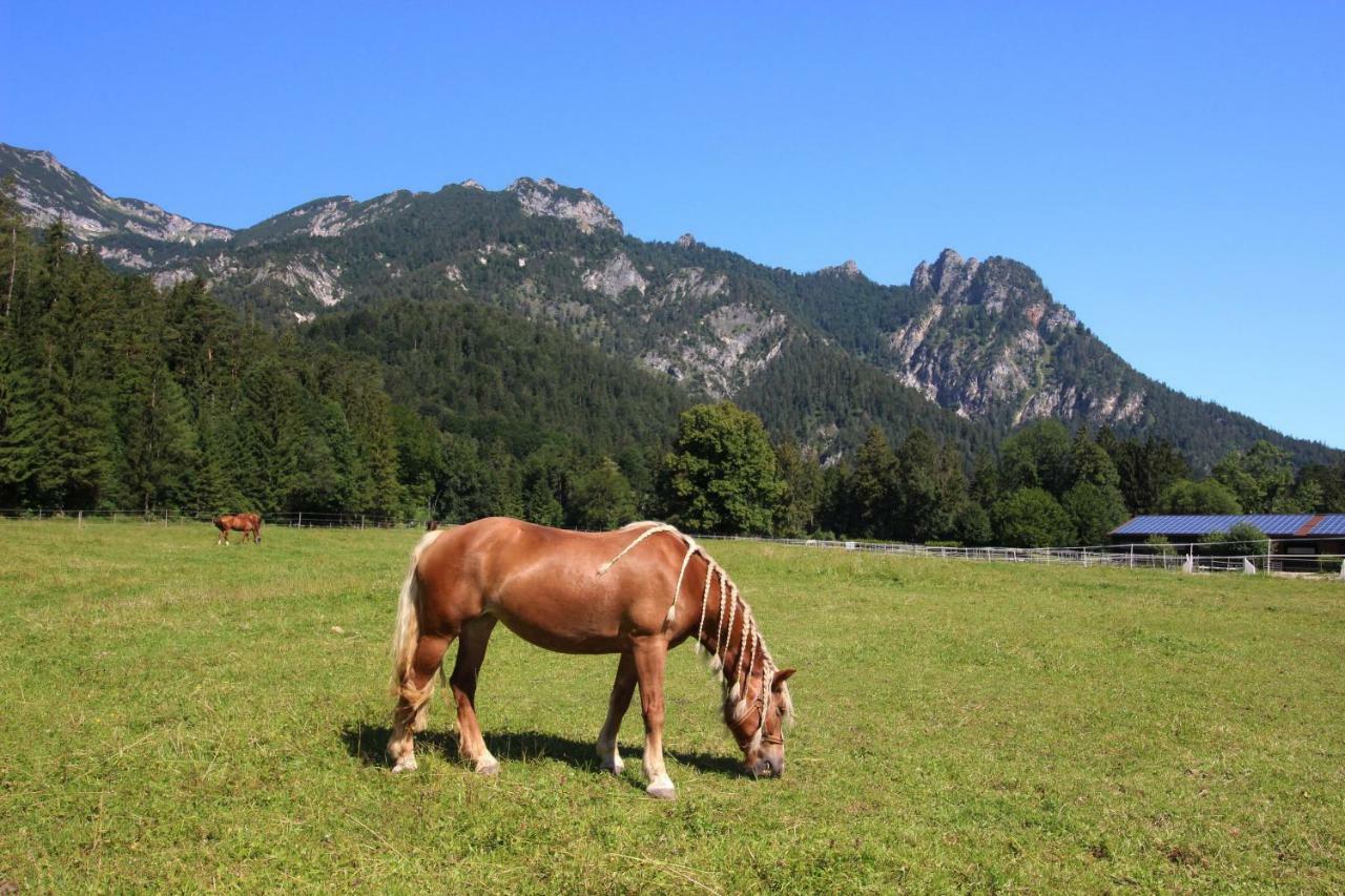 Ferienhaus Gestuet Pfaffenlehen บิชอฟสวีเซิน ภายนอก รูปภาพ